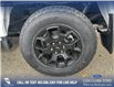 2024 Ford F-150 STX (Stk: 24T4382) in Olds - Image 6 of 25