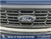 2024 Ford F-150 STX (Stk: 24T4382) in Olds - Image 9 of 25