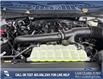 2024 Ford F-150 STX (Stk: 24T4382) in Olds - Image 10 of 25