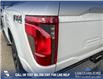 2024 Ford F-150 STX (Stk: 24T4382) in Olds - Image 11 of 25