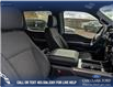 2024 Ford F-150 STX (Stk: 24T4382) in Olds - Image 22 of 25