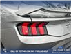 2024 Ford Mustang GT Premium (Stk: 24C0244) in Olds - Image 10 of 24