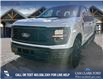2024 Ford F-150 STX (Stk: 24CT8730) in Canmore - Image 1 of 25