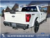 2024 Ford F-150 STX (Stk: 24CT8730) in Canmore - Image 5 of 25