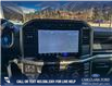 2024 Ford F-150 STX (Stk: 24CT8730) in Canmore - Image 19 of 25