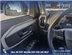 2025 Ford Bronco Sport Big Bend (Stk: 25S3340) in Olds - Image 16 of 24