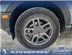 2025 Ford Bronco Sport Big Bend (Stk: 25S1640) in Red Deer - Image 6 of 25