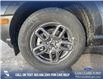 2025 Ford Bronco Sport Big Bend (Stk: 25S2177) in Olds - Image 6 of 25