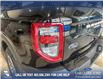 2025 Ford Bronco Sport Big Bend (Stk: 25S1856) in Olds - Image 11 of 25