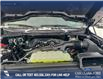 2025 Ford F-150 XLT (Stk: 25T8249) in Red Deer - Image 10 of 24