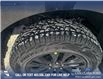 2025 Ford F-150 XLT (Stk: 25T7583) in Red Deer - Image 7 of 24