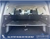 2025 Ford Bronco Sport Big Bend (Stk: 25S2454) in Olds - Image 11 of 24