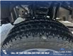 2024 Ford F-350 Chassis XLT (Stk: 24AF8460) in Airdrie - Image 7 of 25