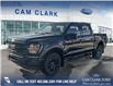 2025 Ford F-150 XLT (Stk: 25T5895) in Red Deer - Image 1 of 24