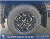 2025 Ford F-150 XLT (Stk: 25T5895) in Red Deer - Image 6 of 24