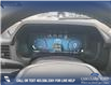 2025 Ford F-150 XLT (Stk: 25T7474) in Red Deer - Image 14 of 24