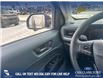2025 Ford Maverick Lariat (Stk: 25T2656) in Olds - Image 17 of 25