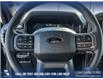 2025 Ford F-150 XLT (Stk: 25AT9756) in Airdrie - Image 14 of 25
