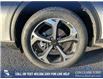 2025 Ford Escape ST-Line Select (Stk: 25AS8078) in Airdrie - Image 6 of 25