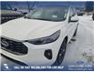 2025 Ford Escape ST-Line Elite (Stk: 25S6738) in Red Deer - Image 8 of 25