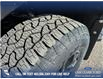 2025 Ford F-150 XLT (Stk: 25AT4629) in Airdrie - Image 7 of 25