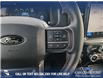 2025 Ford F-150 Tremor (Stk: 25T2769) in Red Deer - Image 15 of 24
