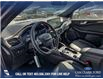 2025 Ford Escape ST-Line Elite (Stk: 25S5408) in Red Deer - Image 13 of 25