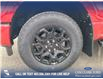 2025 Ford F-150 XLT (Stk: 25T1532) in Red Deer - Image 6 of 24