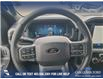 2025 Ford F-150 XLT (Stk: 25T1532) in Red Deer - Image 13 of 24