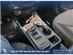 2025 Ford Maverick XLT (Stk: 25T4743) in Red Deer - Image 17 of 24