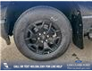 2025 Ford F-150 Lightning XLT (Stk: 25T6454) in Red Deer - Image 6 of 24