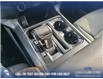 2025 Ford F-150 Lightning XLT (Stk: 25T6454) in Red Deer - Image 17 of 24
