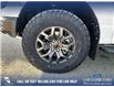 2025 Ford F-150 Tremor (Stk: 25T7784) in Red Deer - Image 6 of 24