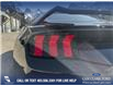 2025 Ford Mustang GT Premium (Stk: 25CC3960) in Canmore - Image 12 of 26