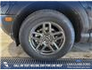 2025 Ford Bronco Sport Big Bend (Stk: 25S9515) in Olds - Image 6 of 25