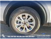 2025 Ford Escape Active (Stk: 25S1314) in Red Deer - Image 6 of 25