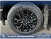 2025 Ford F-150 XLT (Stk: 25AT3046) in Airdrie - Image 6 of 25