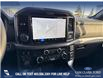2025 Ford F-150 XLT (Stk: 25T1576) in Red Deer - Image 18 of 24