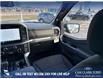 2025 Ford F-150 XLT (Stk: 25T1576) in Red Deer - Image 24 of 24