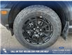 2025 Ford Bronco Sport Outer Banks (Stk: 25AS3535) in Airdrie - Image 6 of 25