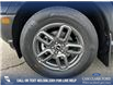 2025 Ford Bronco Sport Big Bend (Stk: 25AS9211) in Airdrie - Image 6 of 25