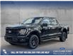 2025 Ford F-150 XLT (Stk: 25AT1048) in Airdrie - Image 1 of 25