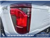 2025 Ford F-150 XLT (Stk: 25AT3635) in Airdrie - Image 11 of 25
