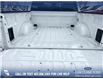 2025 Ford F-150 XLT (Stk: 25AT3635) in Airdrie - Image 12 of 25