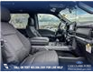 2025 Ford F-150 XLT (Stk: 25AT3635) in Airdrie - Image 22 of 25