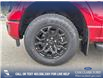 2025 Ford F-150 XLT (Stk: 25T2693) in Olds - Image 6 of 25