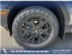2025 Ford Bronco Sport Outer Banks (Stk: 25AS6260) in Airdrie - Image 6 of 25