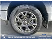 2025 Ford F-150 STX (Stk: 25T1057) in Olds - Image 6 of 25