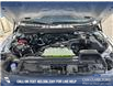 2025 Ford F-150 STX (Stk: 25T1057) in Olds - Image 10 of 25
