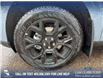 2025 Ford Maverick XLT (Stk: 25T9364) in Red Deer - Image 6 of 24
